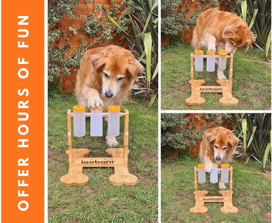 Pet Food Puzzle Fun Toy!