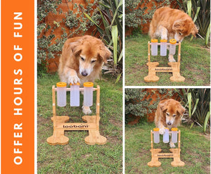 Pet Food Puzzle Fun Toy!