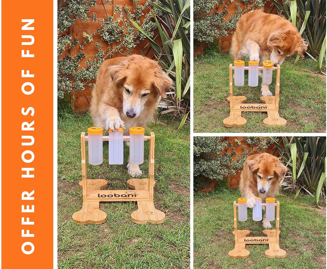 Pet Food Puzzle Fun Toy!
